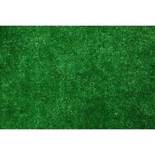 Indoor/Outdoor Green Artificial Grass Turf Area Rug 6x8