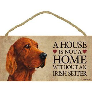 A House Is Not A Home Without An Irish Setter   5x10