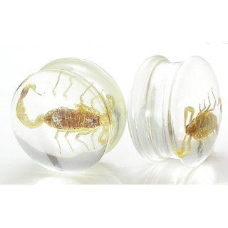 Scorpion   Scorpion inside an Acrylic Plug for Gauged Ears Price Per 1