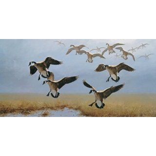 Walljammer Geese Mural WJ Mural Geese 4x2 Vinyl Poster