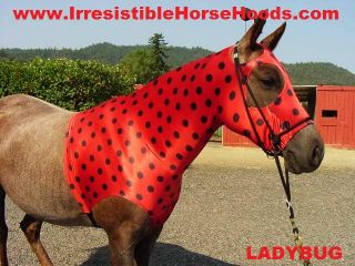 SMALL SHINNY LADYBUG Horse Hood Costume *TAIL BAG * X S (weanling