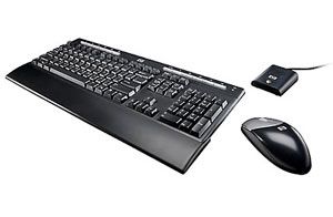 HP Wireless Multimedia Keyboard Mouse GM322AA ABA