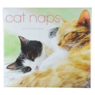 CAT NAPS ▀▄▀▄▀▄ 2013 Wall Calendar Factory Sealed ++Photos