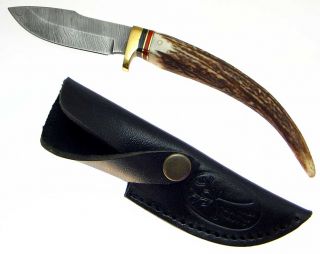 Stag Handle Damascus Blade Skinner Hunting Knife Sheath