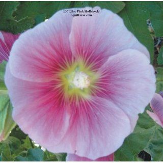 No. 136 Pink/Lilac Hollyhock Flower Garden Seeds (25) PLUS