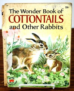 The Wonder Book Of Cottontails and Other Rabbits By Cynthia and Alvin