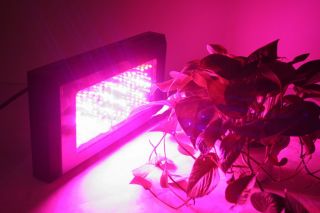  QUALITY 240W LED GROW LIGHT PLANT LAMP FOR PLANT INCREASE YIELD aa