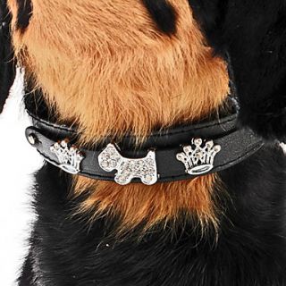   Halsband für Hunde (Neck 15 25cm), alle Artikel Versandkostenfrei