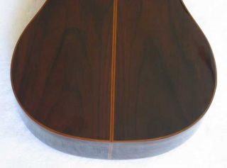  Bartolex MRC10 10 String Classical Harp Guitar [Cedar/Indian Rosewood