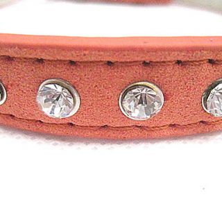 EUR € 3.30   diamond style regolabile collare da cane (piccolo 37cm