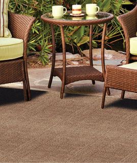 Tan 5 x 8 Indoor Outdoor Rug Patio Carpet Mold Mildew Stain Resistant