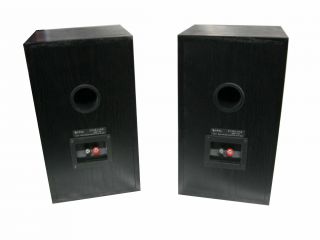 Infinity Entra One Main Stereo Speakers