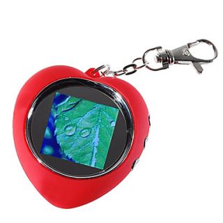  Keychain (58 Picture Memory Storage), Gadgets