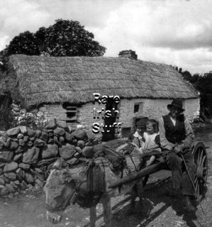Traditional Irish Cottage with Horse Donkey C 1900