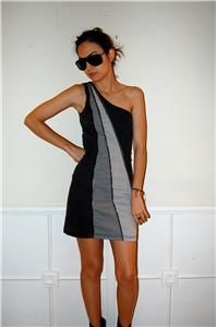 Blanco Zara Wang Denim Zipper Dress Fitted XS
