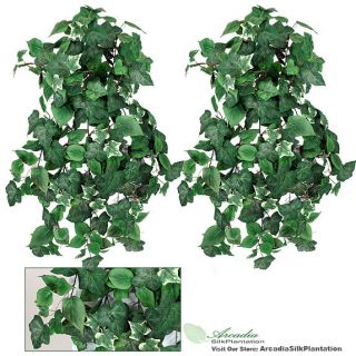  Artificial Frosted Ivy/Philo Ivy/ Variegated Ivy Mixed Hanging Bushes