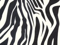 Zebra Stripe Black White Tissue Paper Bulk 20 XL Shts