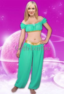 Sexy Blue Aladdin Princess Jasmine Adult Costume Clubwear A019