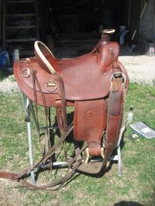 Colorado Saddlery 16 Mule Saddle Including Breeching Excellent