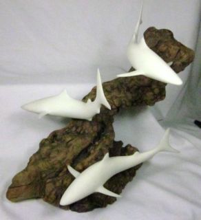 Adorable Handmade John Perry Pellucida Sharks Burlwood Driftwood Sculpture  