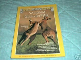 National Geographic Kangaroos February 1979