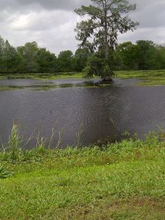 lake lillian