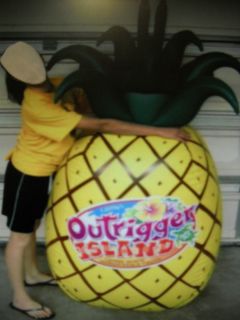 Giant Inflatable 5 5 Foot Pineapple Lifeway VBS 2008 Luau New