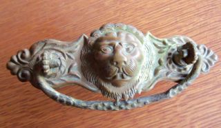Antique Figural Brass Fierce or Cowardly Lion Drawer Pull