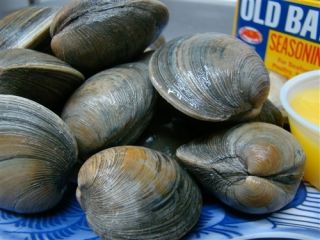 100 Little Neck Hardshell Clams Maryland Harvested Fresh Seafood