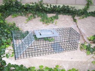 New Small Catch Release Live Animal Cage Trap