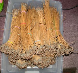 Fresh This Season 2 Pound Long Leaf Pine Needles from Florida