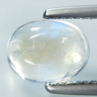 60cts Unseen Cabochon Rainbow Moonstone Loose Gems