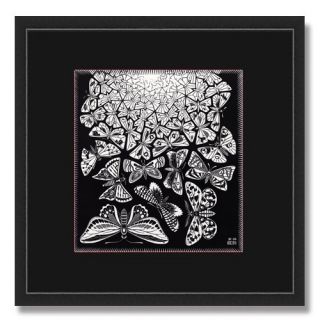 16x16 M C Escher Butterflies Mat Black Framed