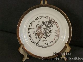 Vintage Mammoth Cave National Park Kentucky Souvenir Plate Crown O