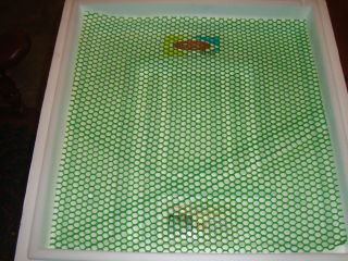 New Incubator Bottom with Liner Plastic Grate Will Fit Little Giant