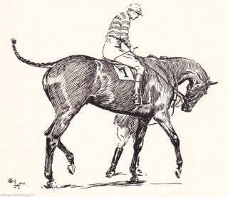 Vintage 1922 Cecil Aldin Horse Art Steeplechasing Race Matted Picture