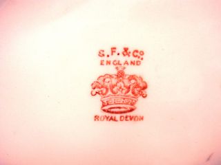 RARE s F Co Royal Crown Devon Jardiniere Hand Painted CA 1891