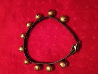 Brass Sleigh Bells Ten on Buckled Leather Strap Nice Ring