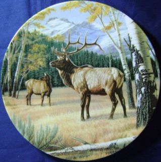 The Elk Wild and Free Canadas Big Game Paul Krapf