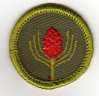 Forestry Merit Badge Rolled Edge Khaki Type F Mint