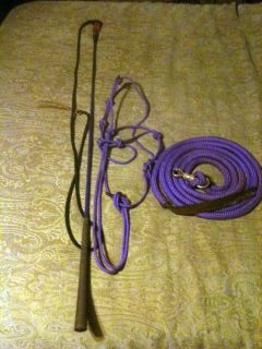3pc horse training set w/ Halter,Lunge rope,Handy Stick fits Clinton