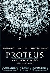 Proteus DVD, 2008