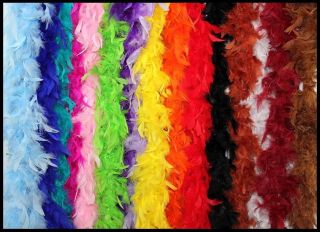 Ft Long Feather Boas in 16 Color Options Great for Parties, Crafts
