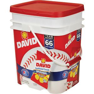 60 BAGS OF DAVID SUNFLOWER SEEDS / ALWAYS SUPER FRESH CONTAINER