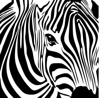 Large ZEBRA Decal Removable Vinyl Wall Art Stickers Girls Room