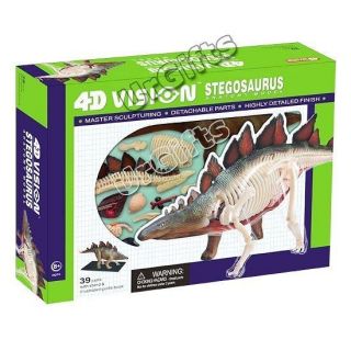 4D Puzzle Dinosaur Anatomy 3D Model Stegosaurus Armatus Dino Skeleton