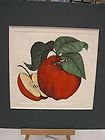 APPLE BY DAN MITRA HAND COLORED ETCHING SIGNED AND NUMBERED RARE