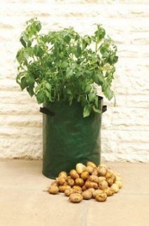 potato planter