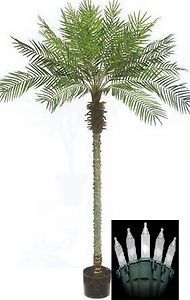 Artificial Phoenix Palm Tree in Black Pot & Holiday Christmas Lights