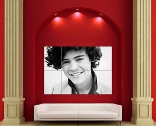 HARRY STYLES ONE DIRECTION 1D GIANT POSTER ART PICTURE PRINT EN370